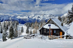 Chalet Zlatica Velika Planina